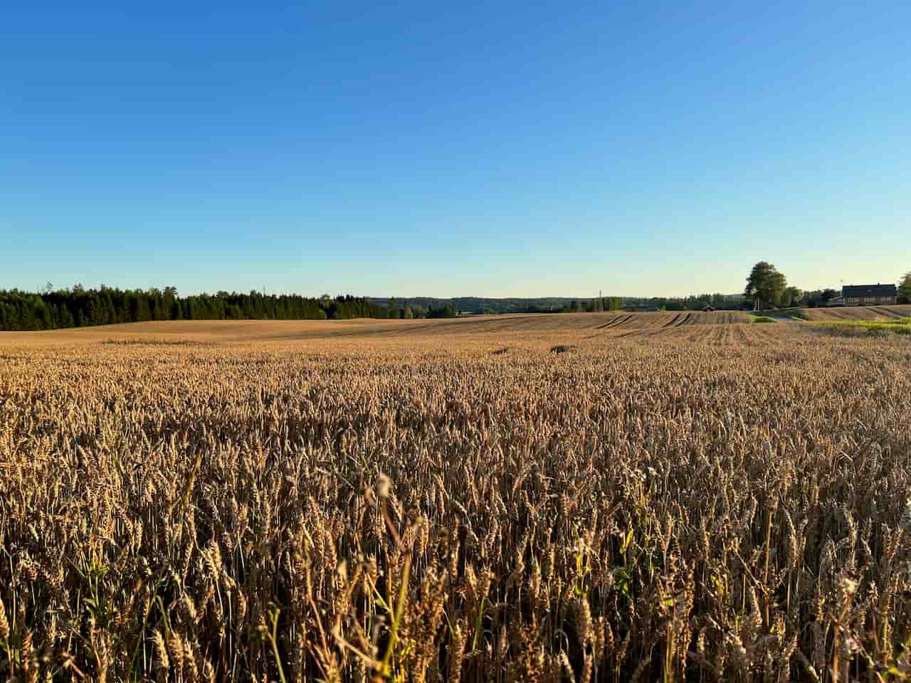 Landskap