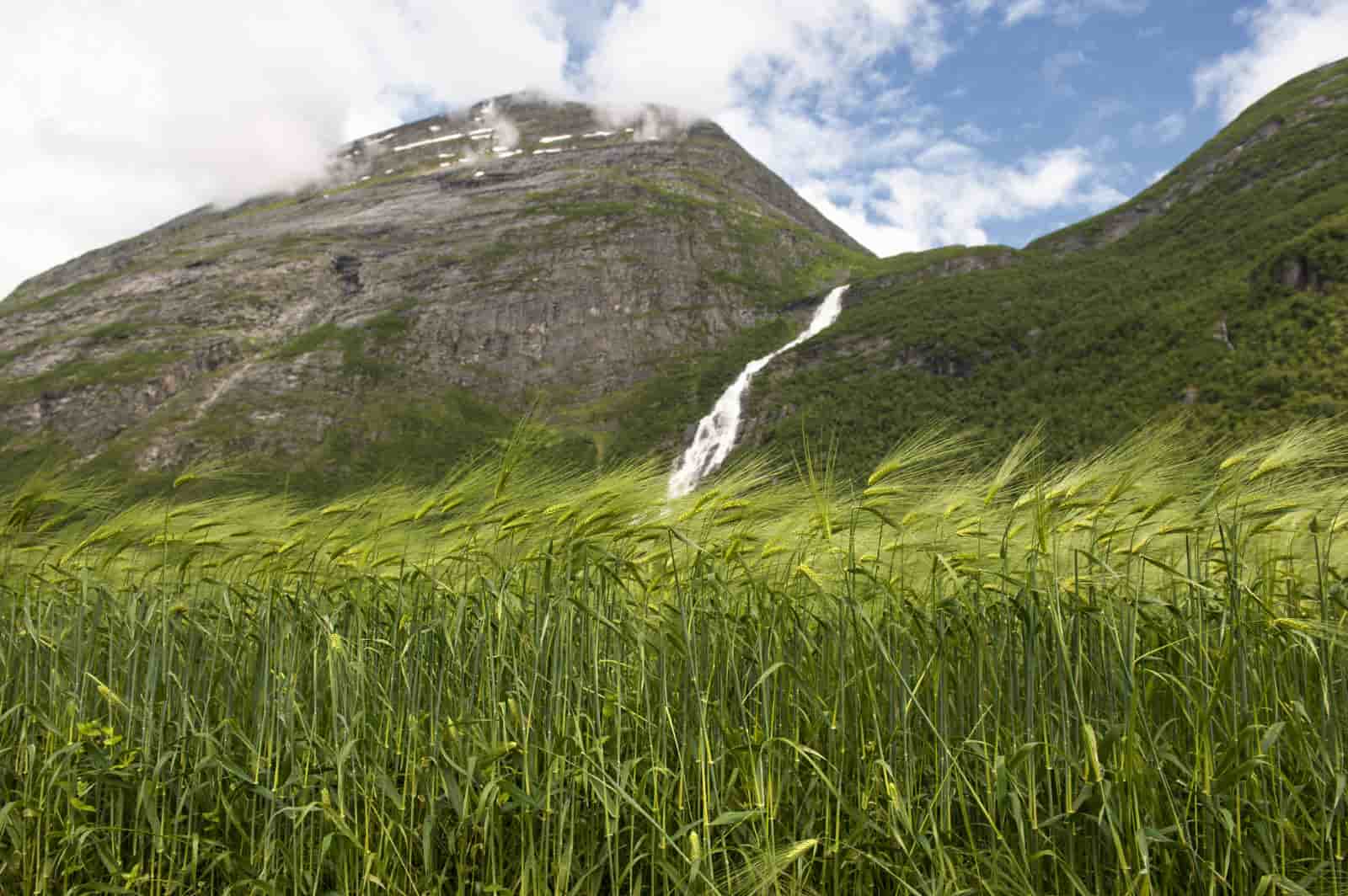 Landskap