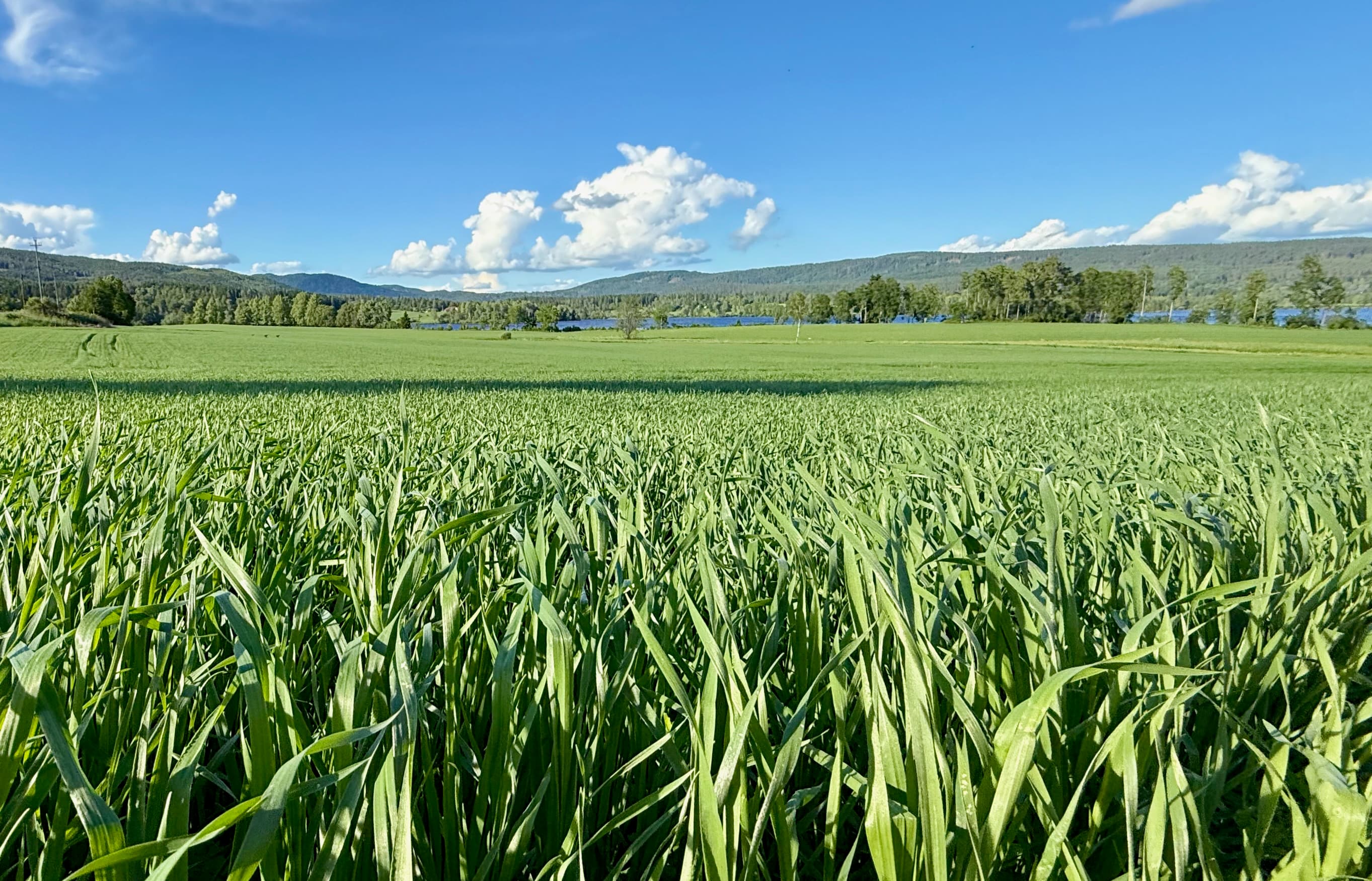 Landskap